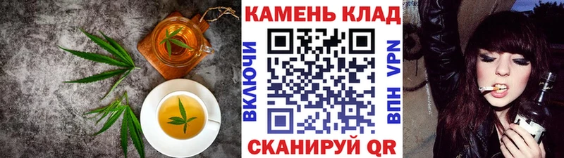 как найти закладки  Заводоуковск  Cannafood конопля 