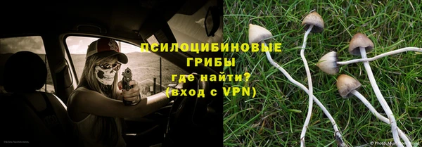 mdpv Надым