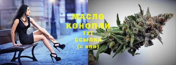 амф Новозыбков