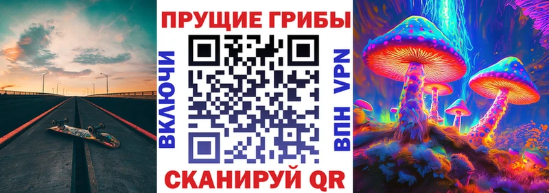 Галлюциногенные грибы прущие грибы  blacksprut зеркало  Заводоуковск 