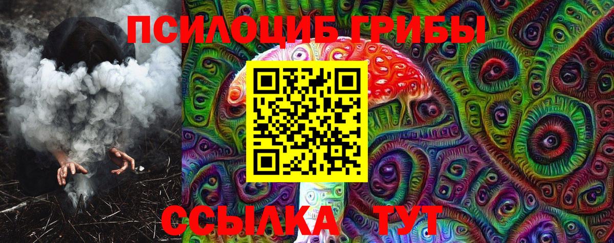 Галлюциногенные грибы Psilocybe Заводоуковск